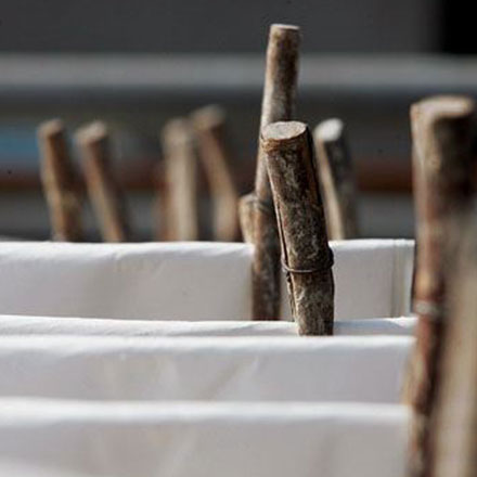 深圳品牌設計作品案例展示