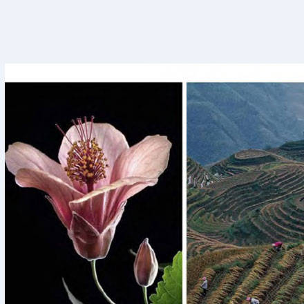 數(shù)字展廳設(shè)計-數(shù)字展廳vi設(shè)計