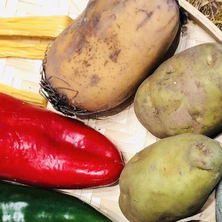 深圳logo設計作品案例展示