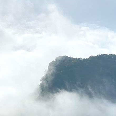 深圳logo設計作品案例展示